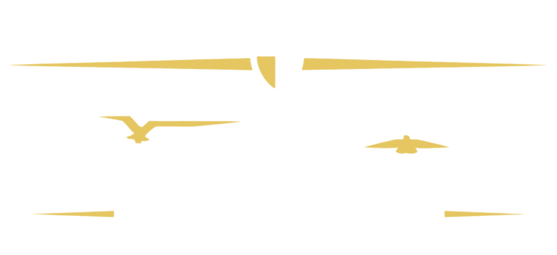Fursan al Janob